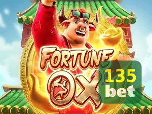 135BET login — painel de entrada no app oficial